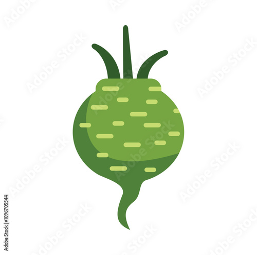 This vector illustration shows a green beetroot growing with leaves on top