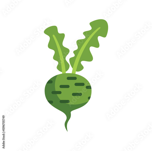 Simple vector illustration of a beetroot with leaves growing out of the ground