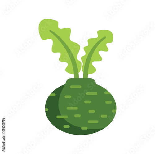 Simple flat vector illustration of a green kohlrabi growing with leaves