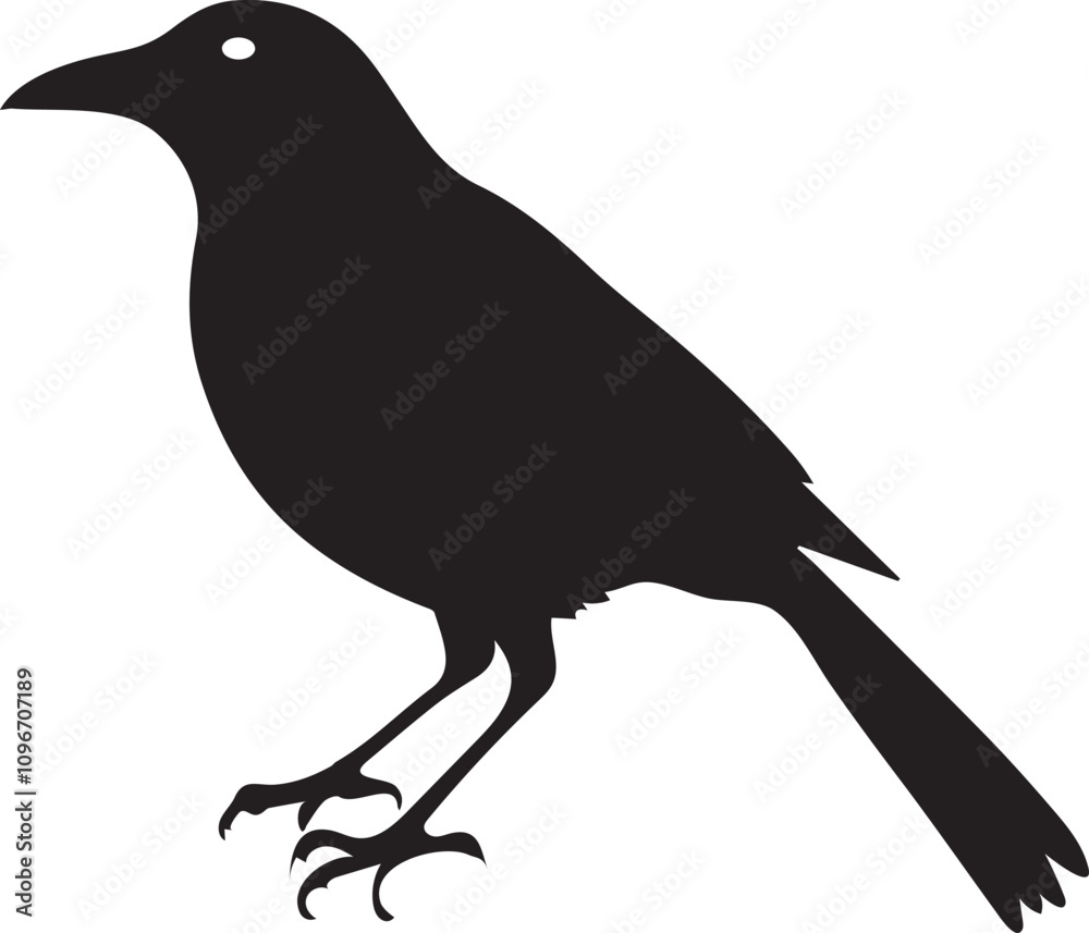 Magpie birds vector silhouette design Art Magpie birds vector silhouette design Art