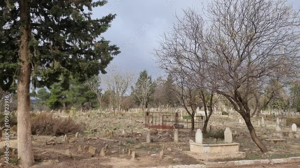 Muslim cemetery of Tiaret, Algeria