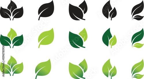 Ecology green leaf vector icon. Isolated natural organic illustration. Vegetarian or vegan label. Green eco logo