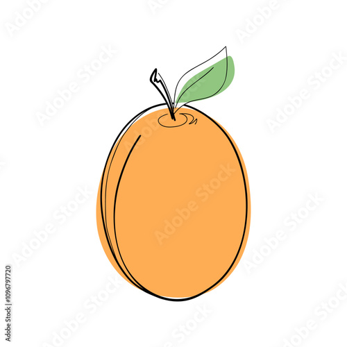 Apricot hand-drawn with outline, isolated on a white background, illustration, vector. Sweet, juicy, delicious fruit, an element for labels, design, decoration. Healthy healthy food, veganism