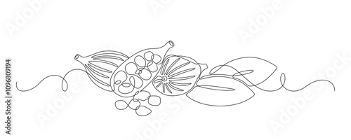 Cardamom drawn in continuous line in minimalist style, spice, ginger plant, grains, pods, leaves, editable vector contour.