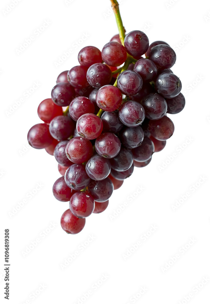 banch of grape with water droplets on it, transparent png banch of grape with water droplets on it, transparent png