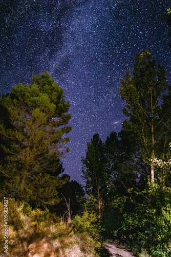 Noche estrellada