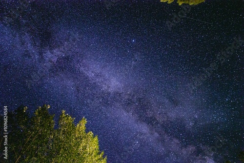 Noche estrellada