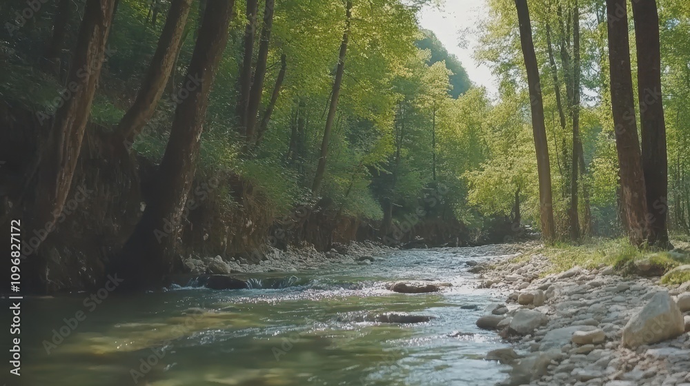 Serene stream flowing through lush green forest. Serene stream flowing through lush green forest.