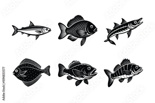 Fish Silhouette Vector Bundle Sardine, Flounder, Grouper & More