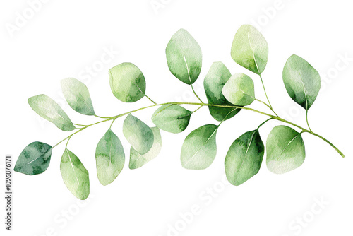 Elegant watercolor illustration of a green leaf branch, perfect for nature-themed designs and botanical inspirations.