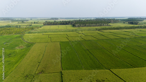 Aerial shot of country side of Karnataka - India