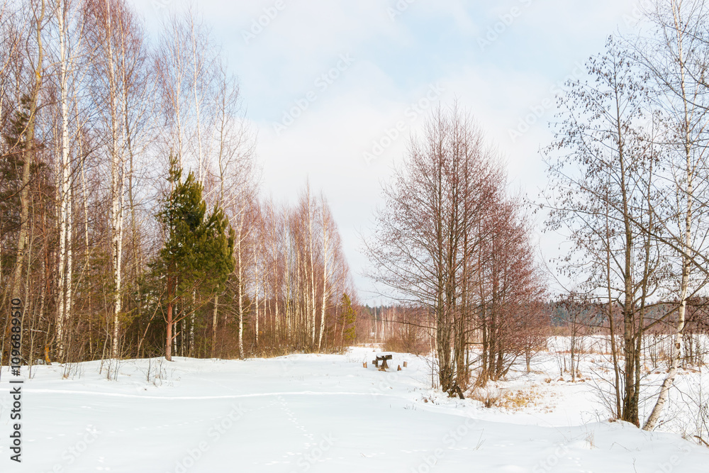 Beautiful winter landscape with white snow, blue sky and trees Beautiful winter landscape with white snow, blue sky and trees