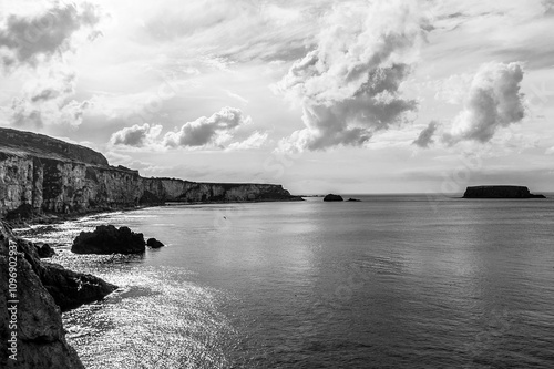 A black and white photo of a rocky shoreline with a cloudy sky in the background