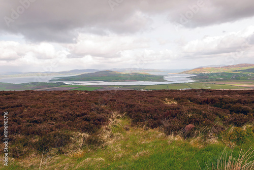 A field of grass with a cloudy sky in the background