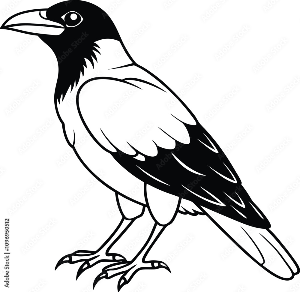 Fototapeta premium crow on a white background, crow vector art design