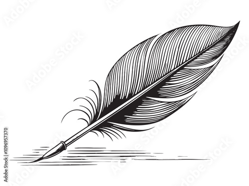 Hand writing with a feather sketch hand drawn drawing vector illustration