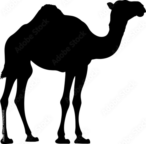 Illustration of a black camel silhouette.