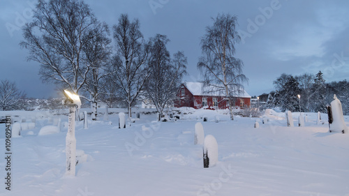 winter landscape with trees and snow, this is christmas