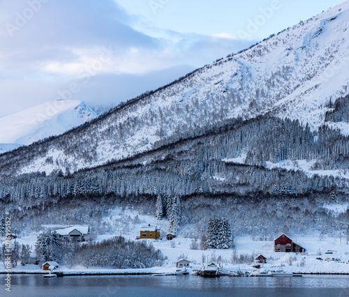 landscape in the mountains 
