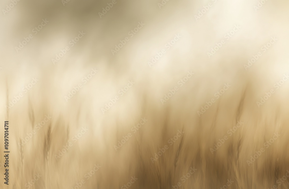 A soft, blurred image of golden grass, evoking a serene, natural atmosphere. A soft, blurred image of golden grass, evoking a serene, natural atmosphere.