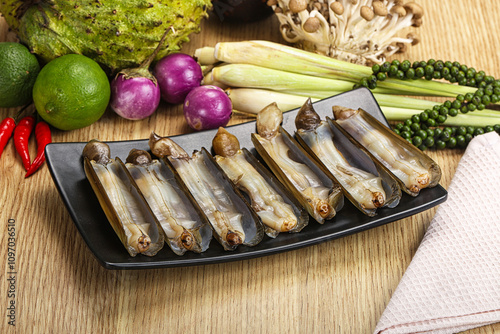 Raw fresh Razor clam mollusk photo