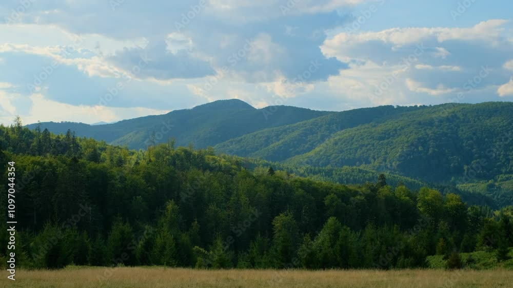 Tranquil Green Hills and Lush Forest under a Cloudy Sky Tranquil Green Hills and Lush Forest under a Cloudy Sky