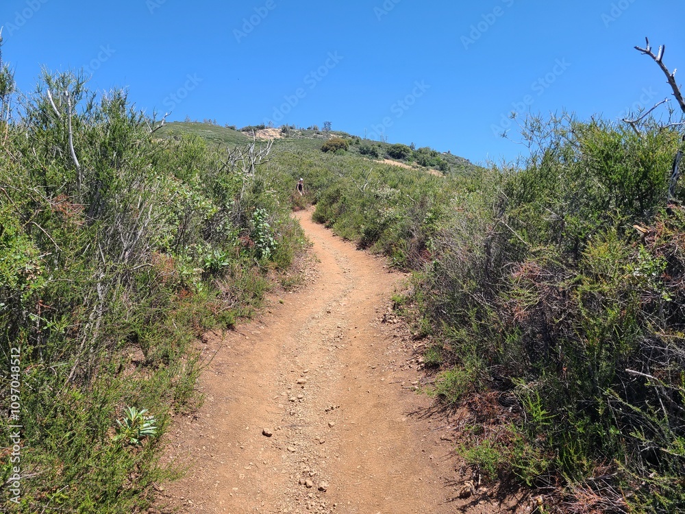 Summit trail at Mt Diablo State Park, California Summit trail at Mt Diablo State Park, California