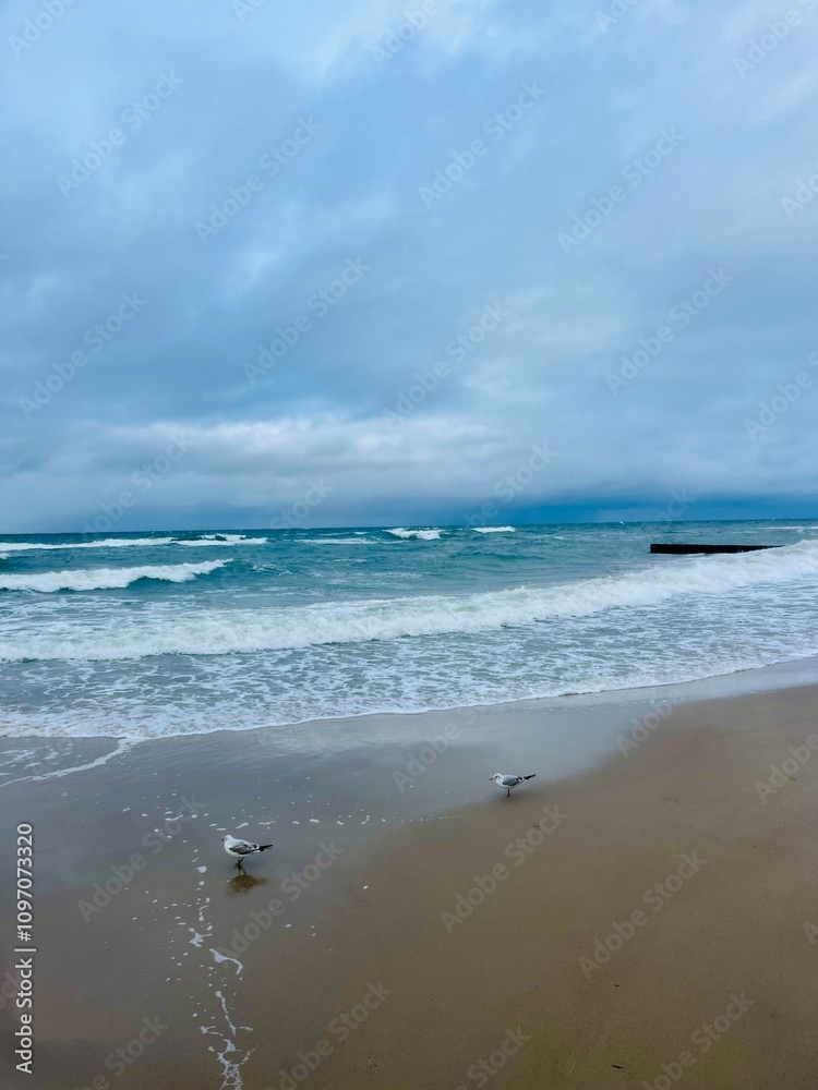 Natural seascape background, cloudy sea horizon Natural seascape background, cloudy sea horizon