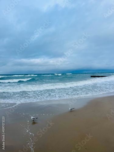 Natural seascape background, cloudy sea horizon