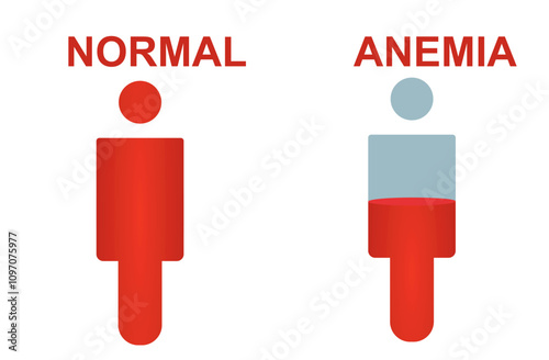 Normal and anemia icon. vector