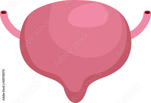 Bladder disease illustration. Urinary tract infection. Bladder cancer. Bladder stones. Bladder inconvenience.