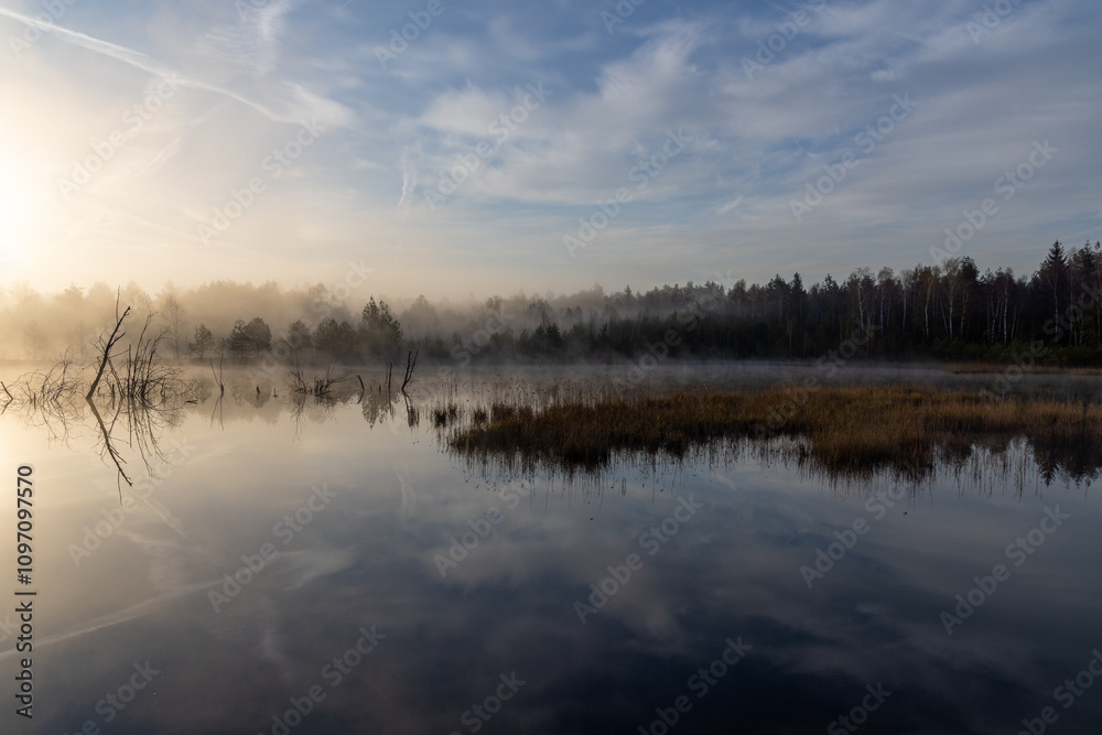 Nebelstimmung mit Spiegelung am See Nebelstimmung mit Spiegelung am See