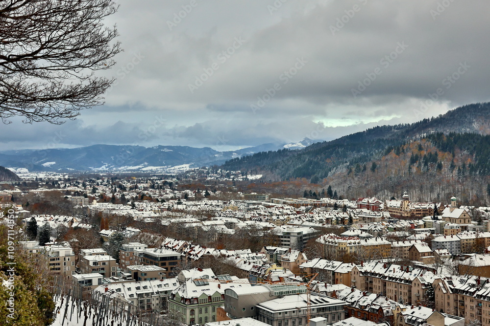 Obraz premium The east of Freiburg in winter