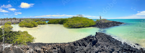 The hidden beauty of Playa el Garrapatero Beach on Santa Cruz Island on Galapagos Archipelago