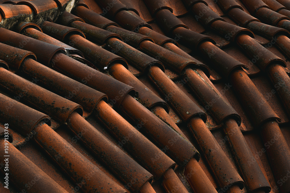 Rustic Terracotta Roof Tiles of Malá Strana, Prague Rustic Terracotta Roof Tiles of Malá Strana, Prague