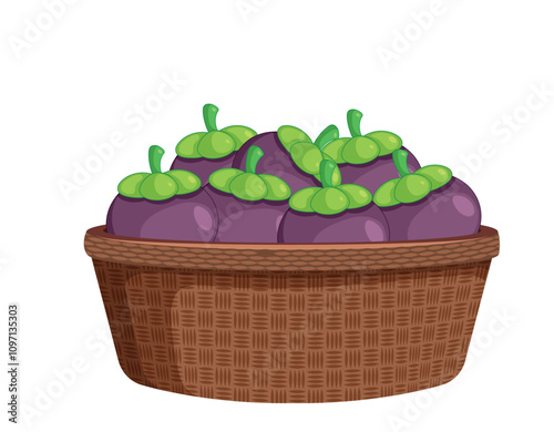 Mangosteens in the basket vector illustration