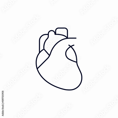human heart icon sign vector