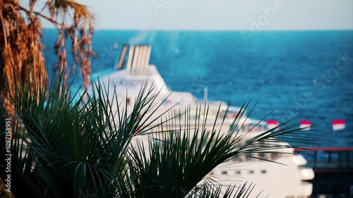 Multiple palm trees with a large cruise ship docked in the Monaco Marina in the evening