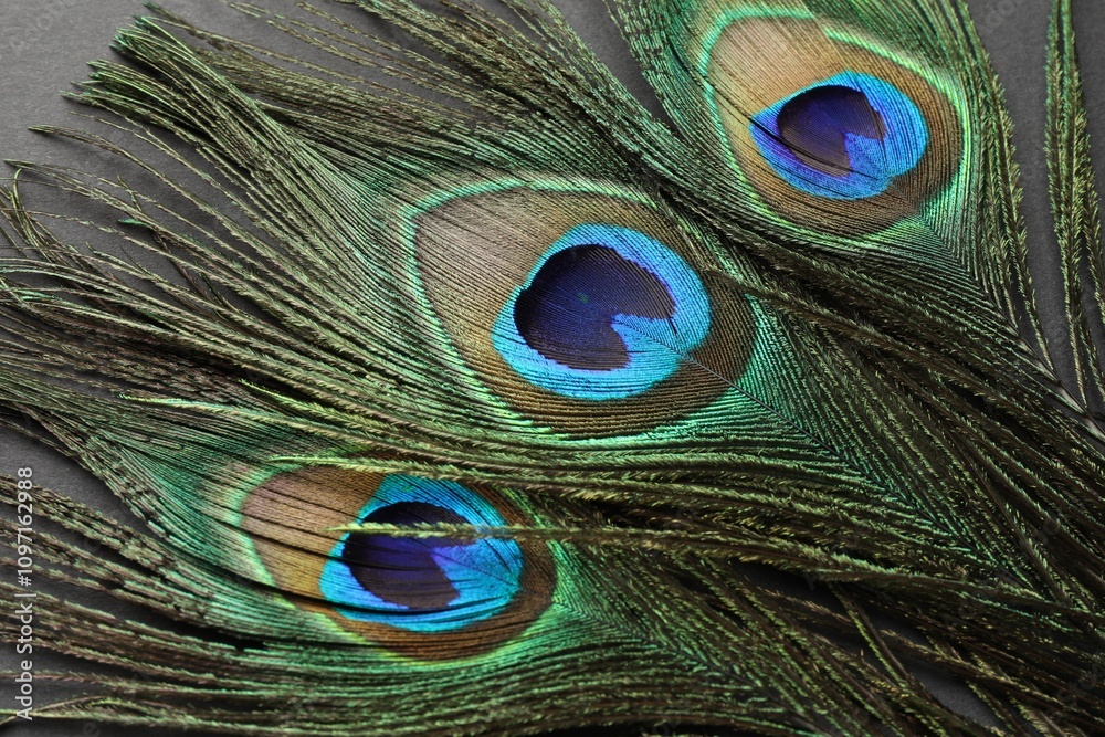 Naklejka premium Many beautiful peacock feathers on black background, closeup
