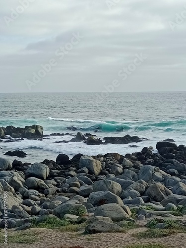 rocks on the beach