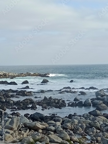 rocks on the beach