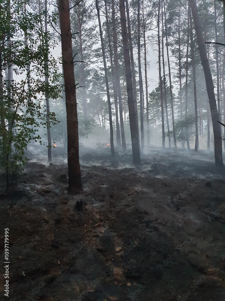 Obraz premium Waldbrand, Fire