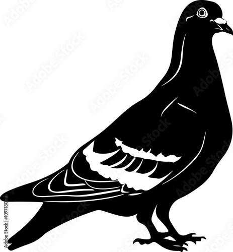 Stylized Illustration of a Pigeon