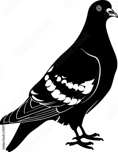 Stylized Illustration of a Pigeon