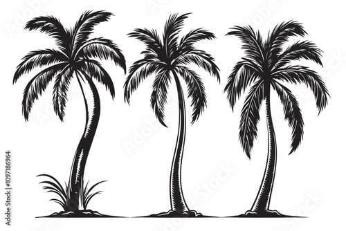 Palm tree silhouette set vector design