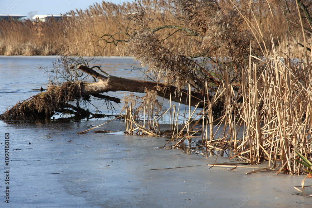 frozen lake in winter