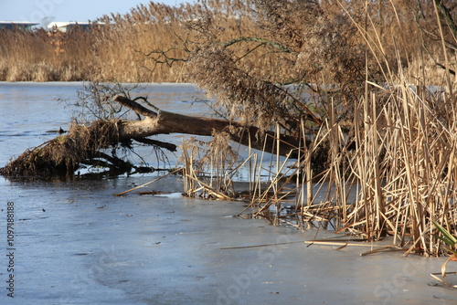 Obraz na płótnie frozen lake in winter w salonie
