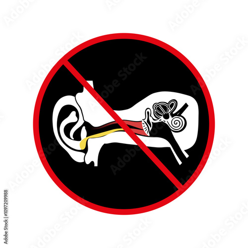 Stop Otitis externa anatomy ear disease inflammation 