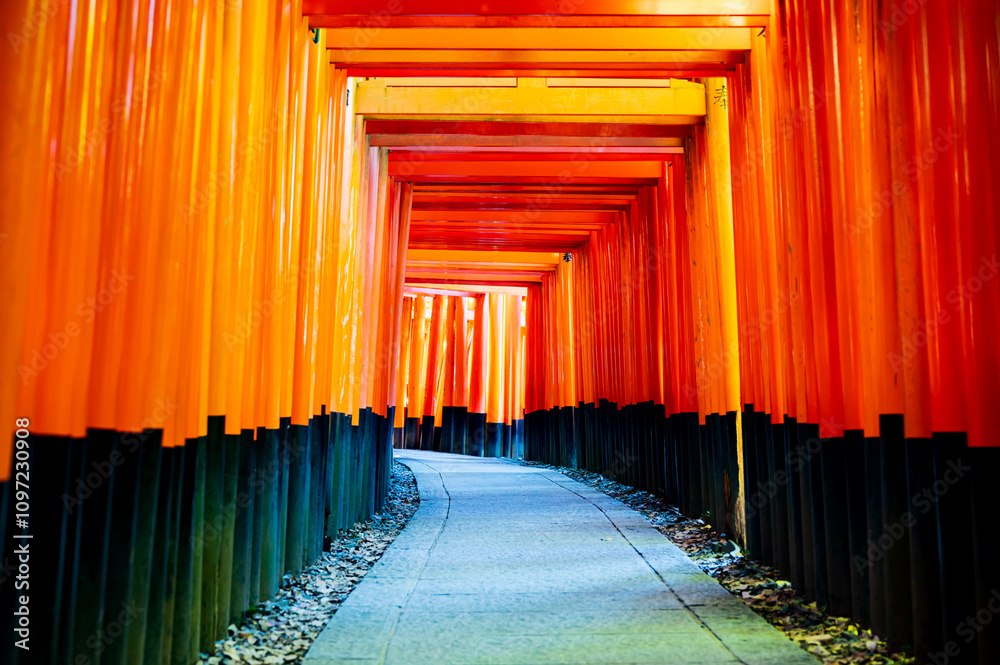 Fototapeta premium 京都は、伏見稲荷大社の有名な千本鳥居