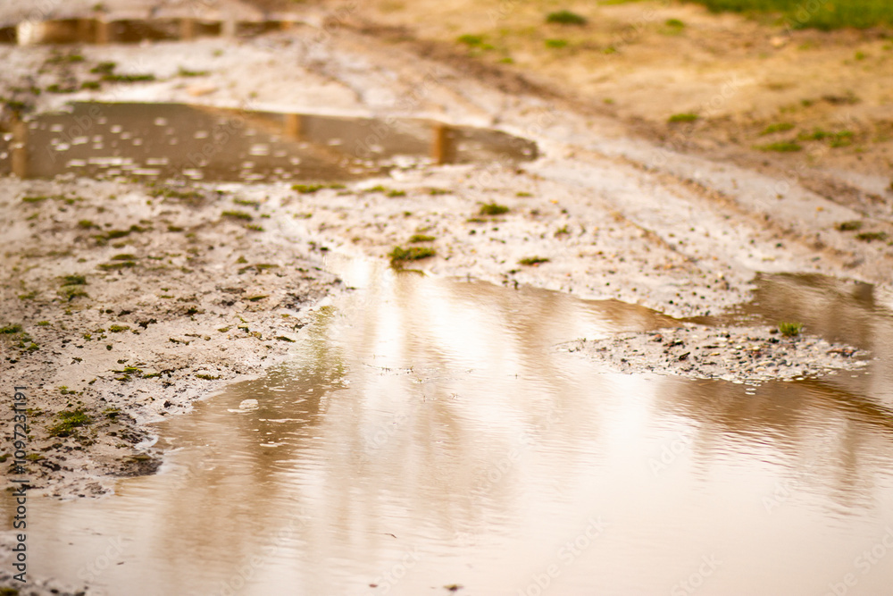 A large muddy puddle occupies the foreground, with thick, dark brown mud reflecting the surrounding environment. The puddle’s surface is disturbed, showing the aftermath of rain or foot traffic.
A large muddy puddle occupies the foreground, with thick, dark brown mud reflecting the surrounding environment. The puddle’s surface is disturbed, showing the aftermath of rain or foot traffic.